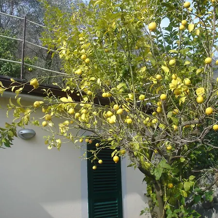 Casa Limoni Ferienhaus